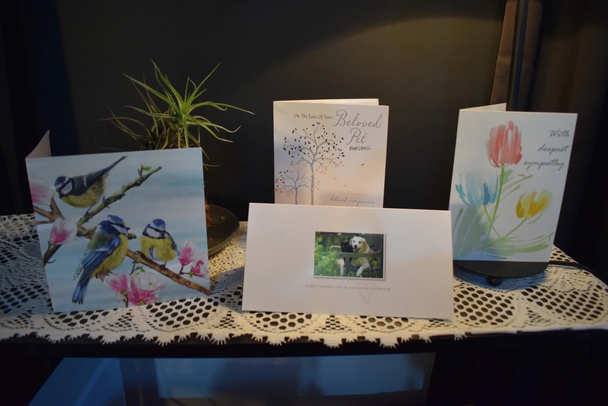 H10 sympathy cards for marshalls passing away maungarangi rd